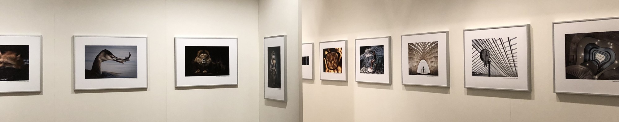 mehrere Fotos nebeneinander an einer wei&szlig;en Wand