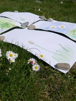 vier Bl&auml;tter mit Kinderzeichnungen von G&auml;nsebl&uuml;mchen auf einer Wiese mit G&auml;nsebl&uuml;mchen  