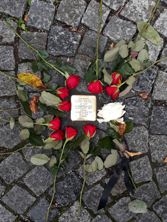 Stolperstein von Georg Riedel umrahmt von 10 roten und einer wei&szlig;en Rose