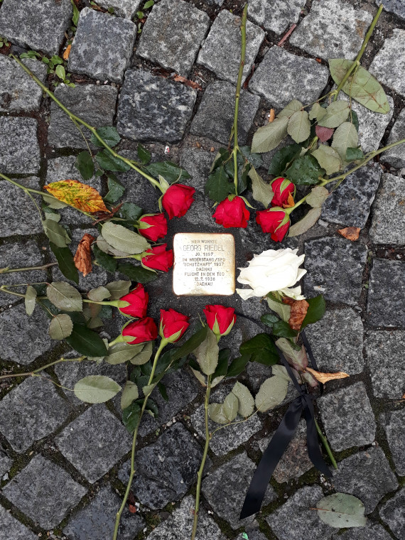 Stolperstein von Georg Riedel mit roten Rosen